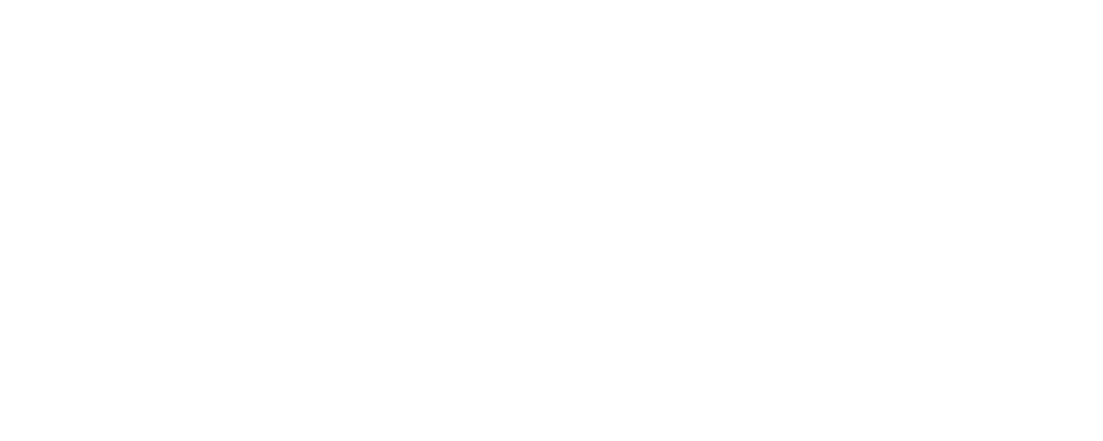 Penguin King