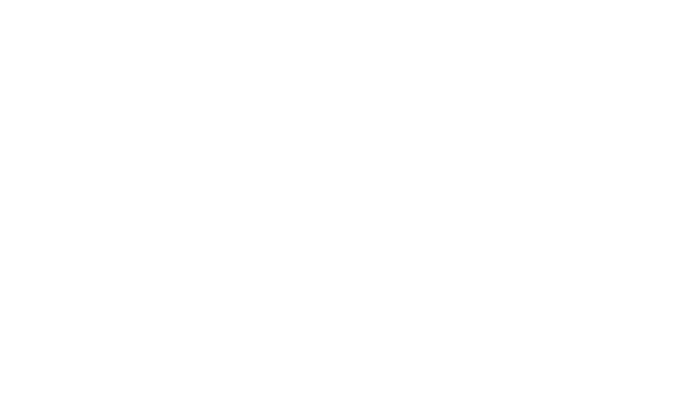 Swintt